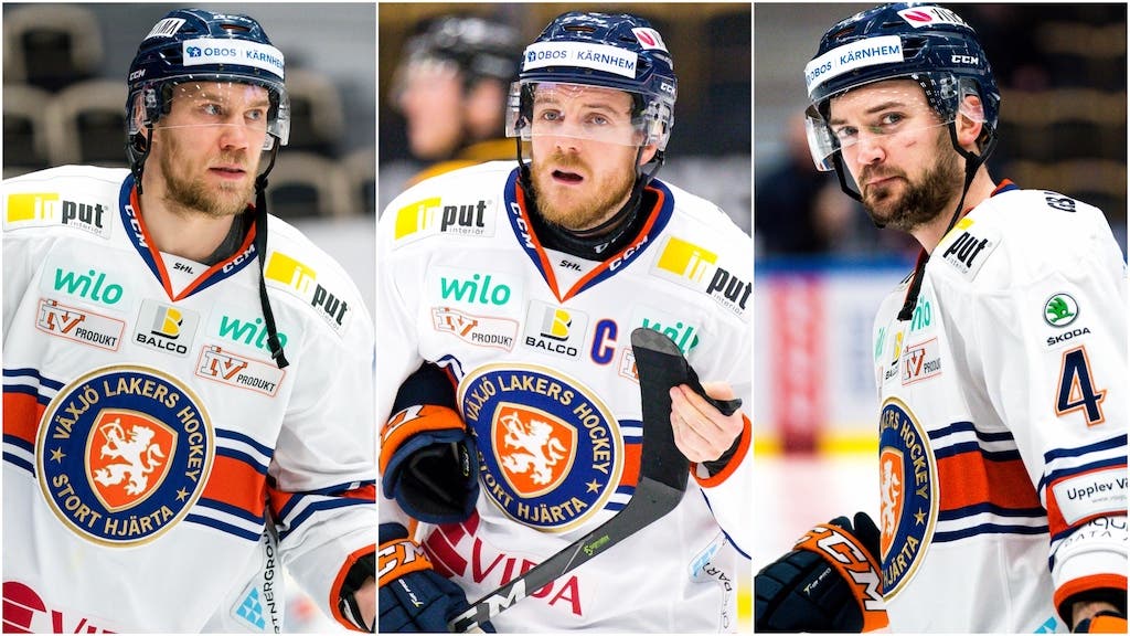 (13849) Melart/Josefsson/Erixon