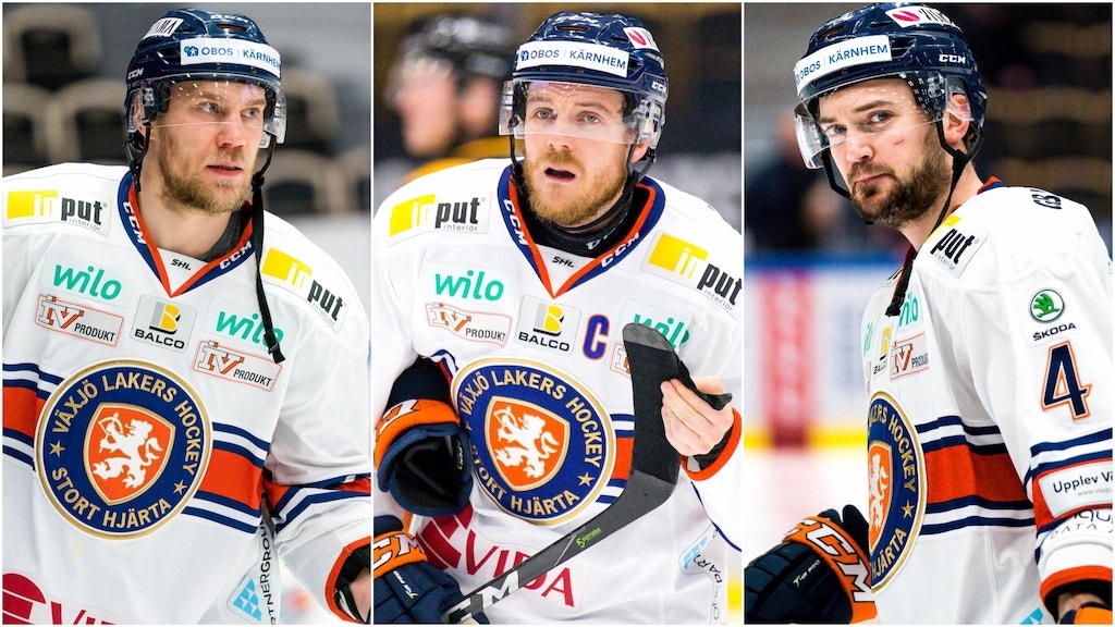 (13849) Melart/Josefsson/Erixon