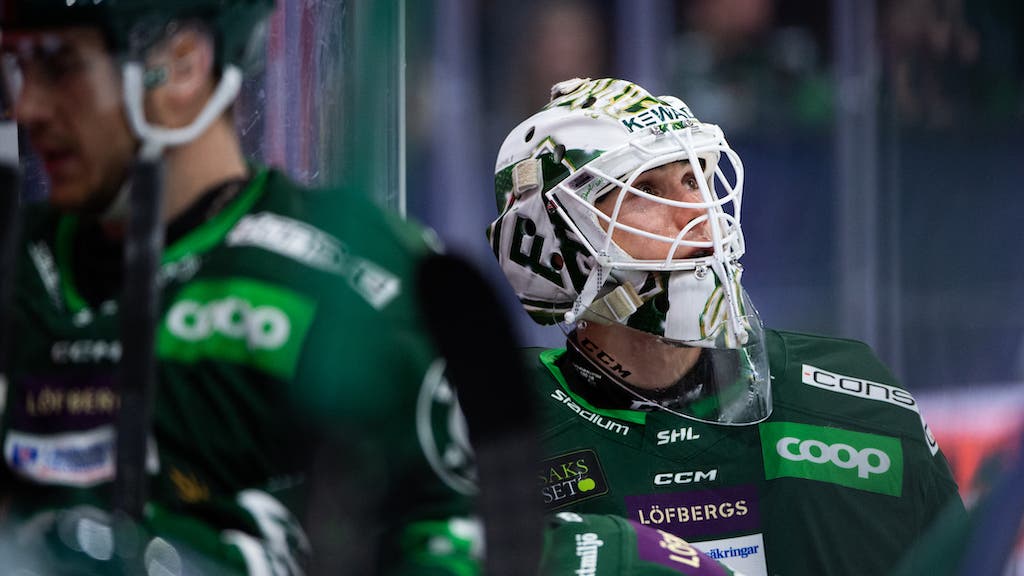 (28062) Damian Clara