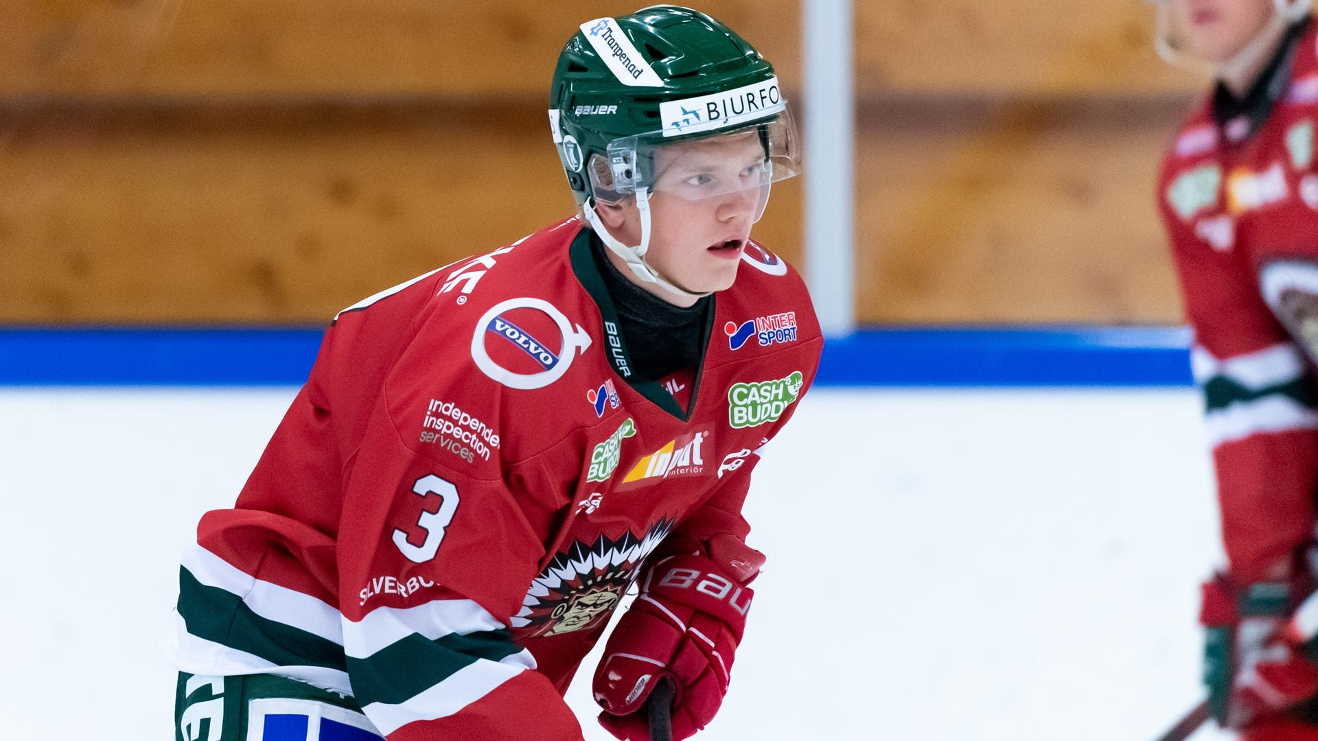 (16087) Theodor Niederbach