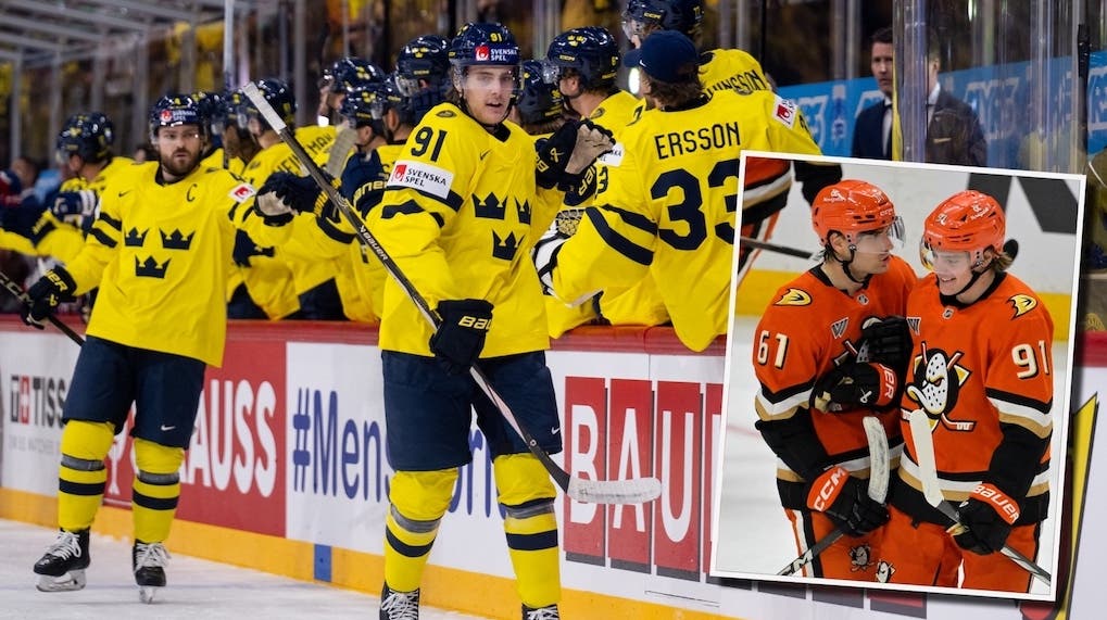 Leo Carlsson Cutter Gauthier