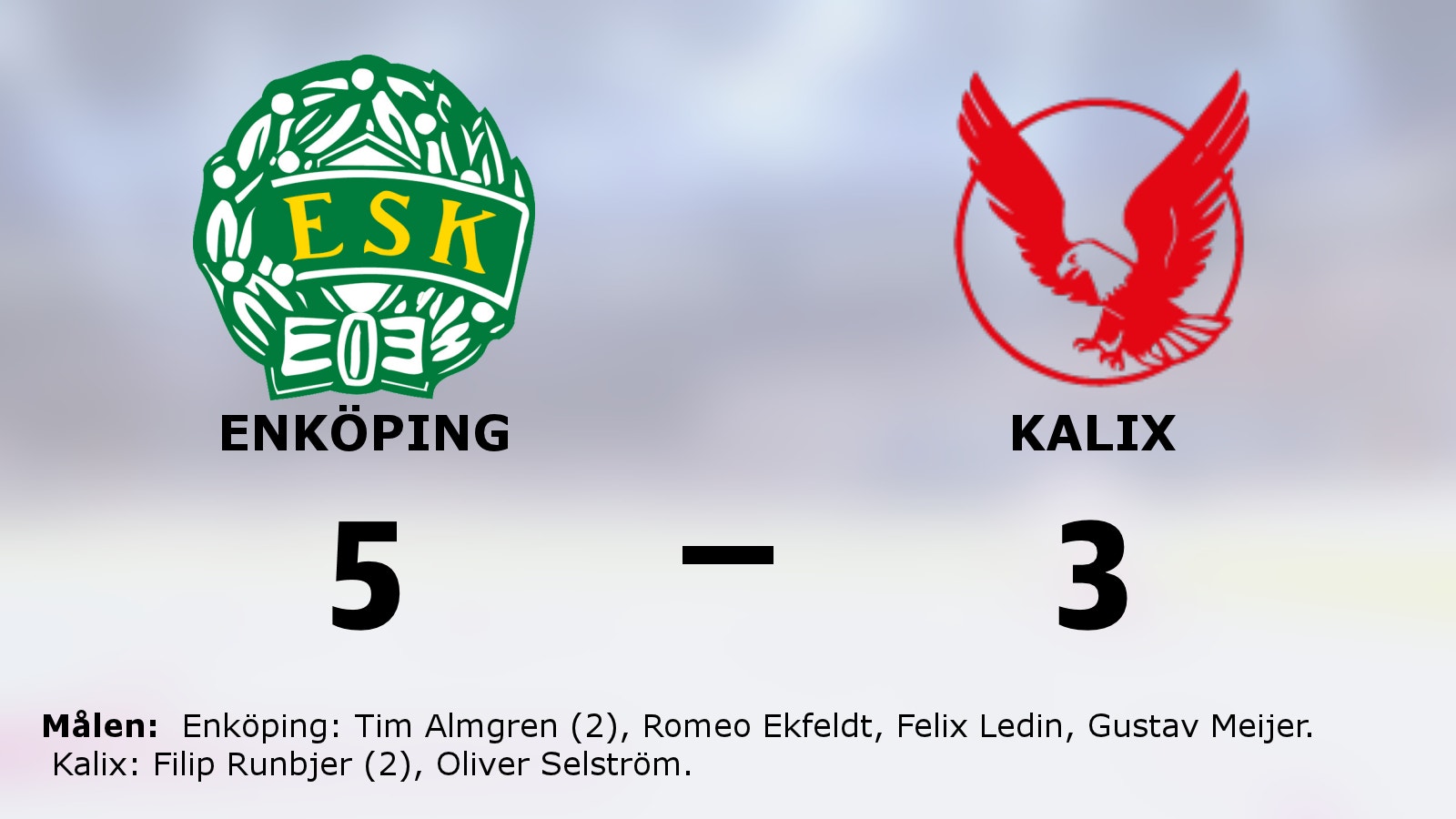 Enköping slog Kalix efter Tim Almgrens dubbel