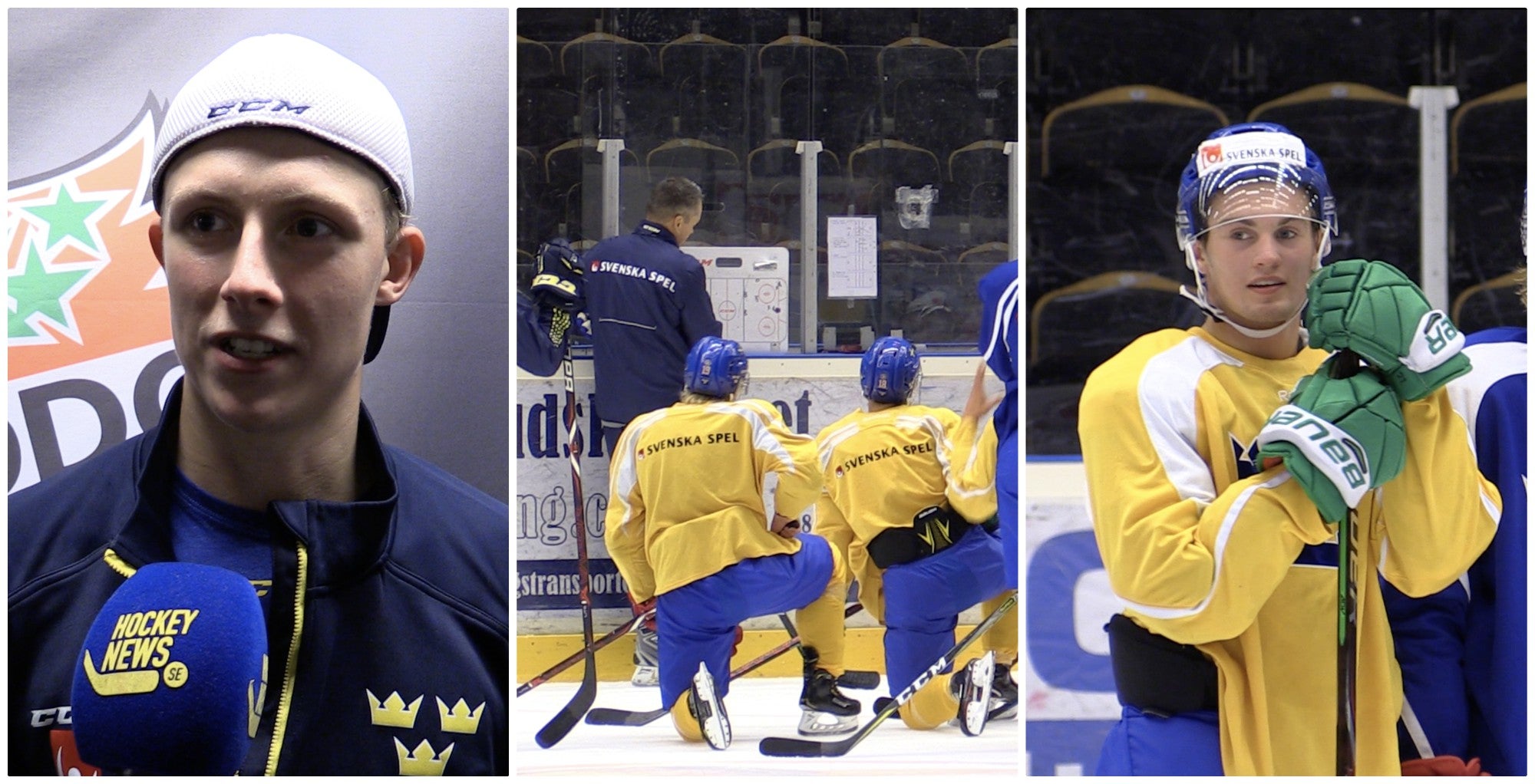Henrik Sjöberg /Hockeynews.se