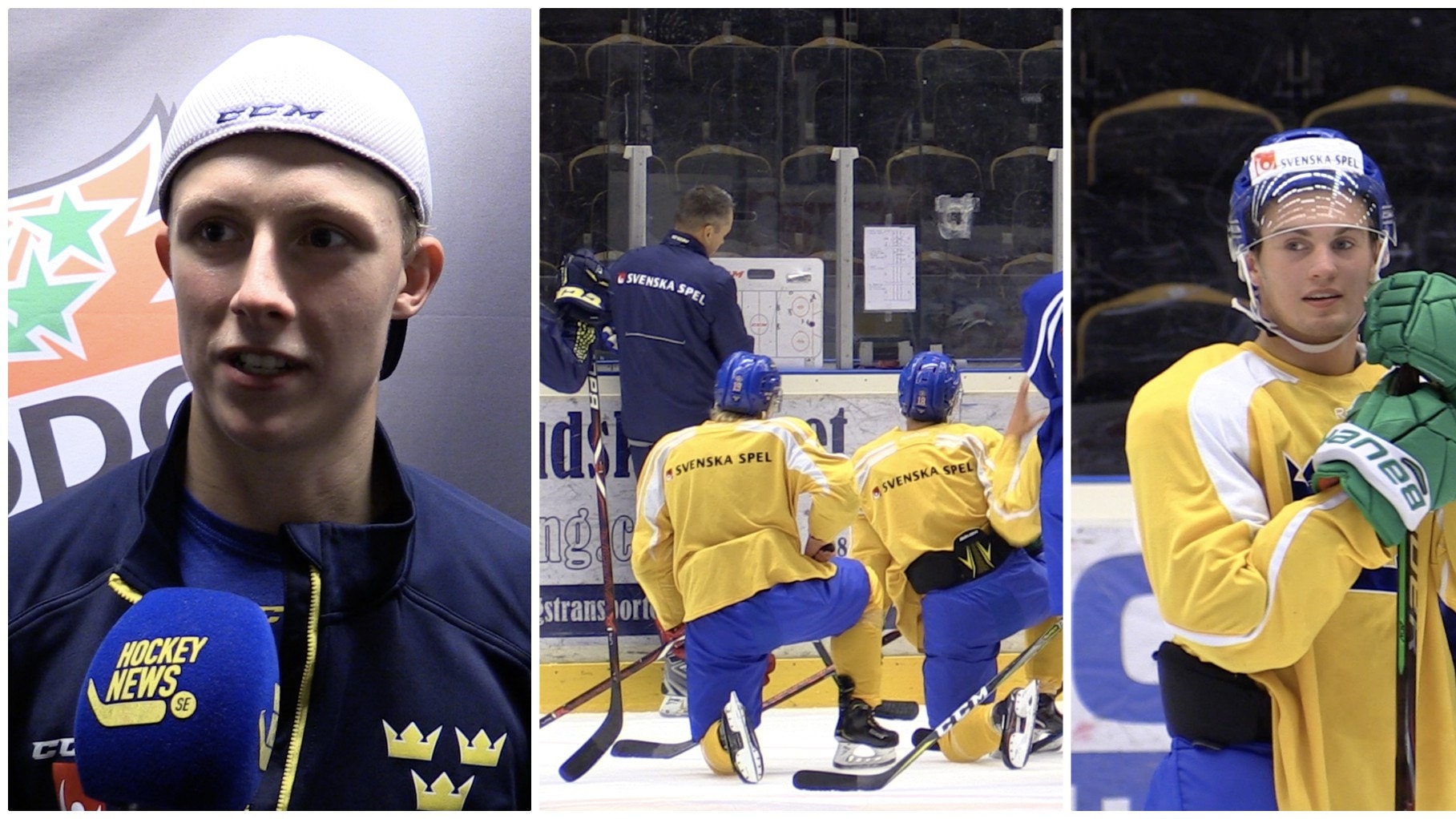 Henrik Sjöberg /Hockeynews.se