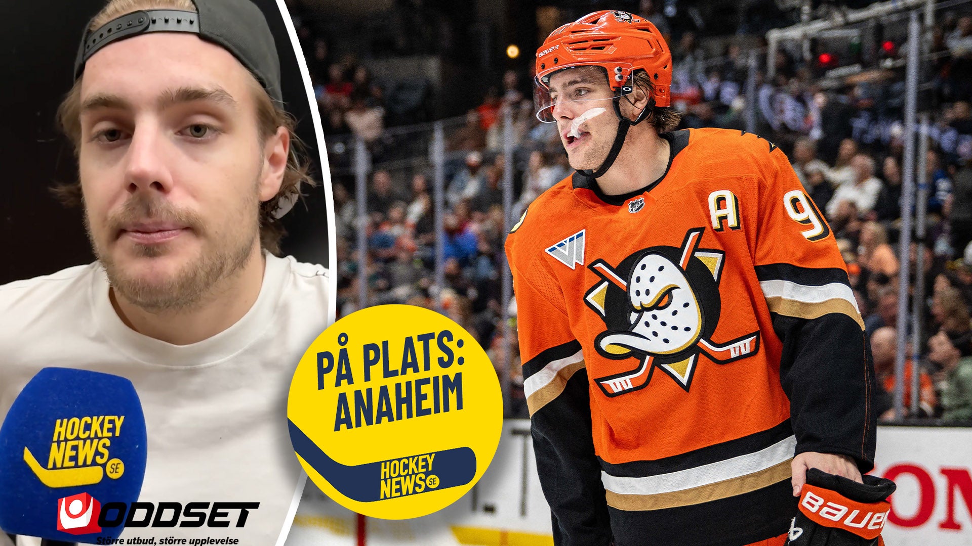 Ishockeyspelare i orange Anaheim Ducks-tröja under en match. Foto: Bildbyrån / Henrik Sjöberg