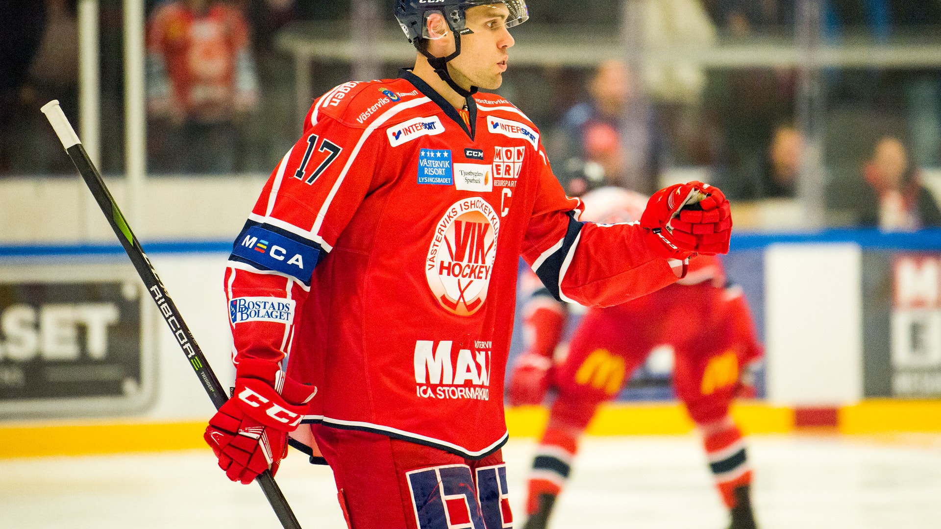 Daniel Nestor/Bildbyrån