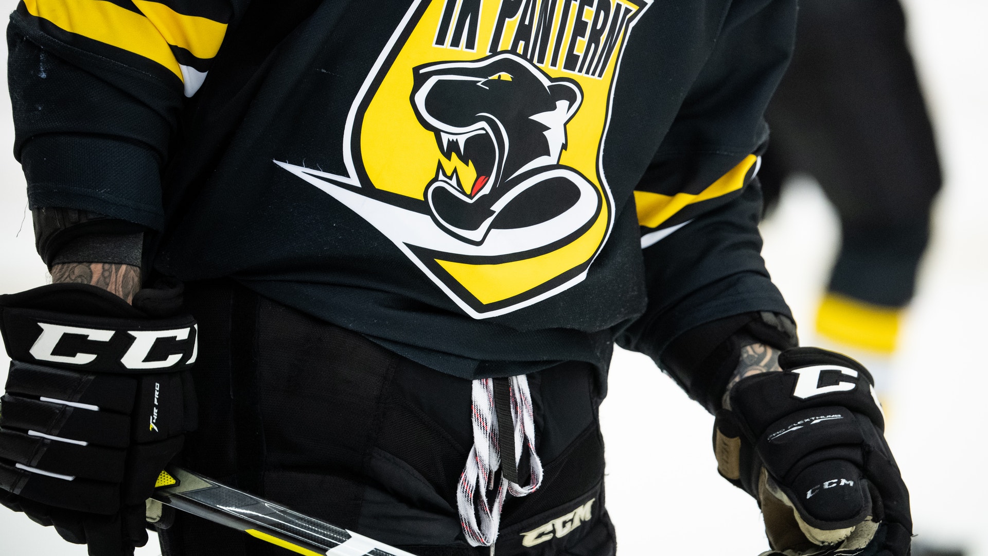 Petter Arvidsson/Bildbyrån