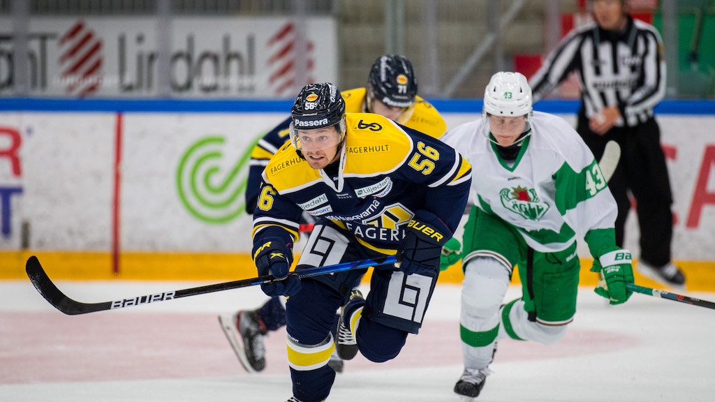 Petter Arvidson/Bildbyrån