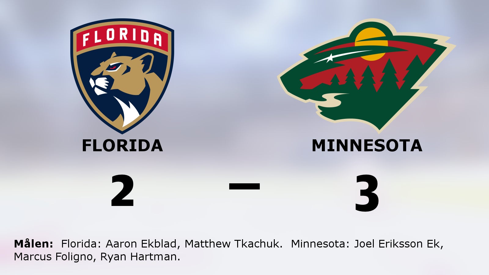 Uddamålsseger för Minnesota som besegrade Florida