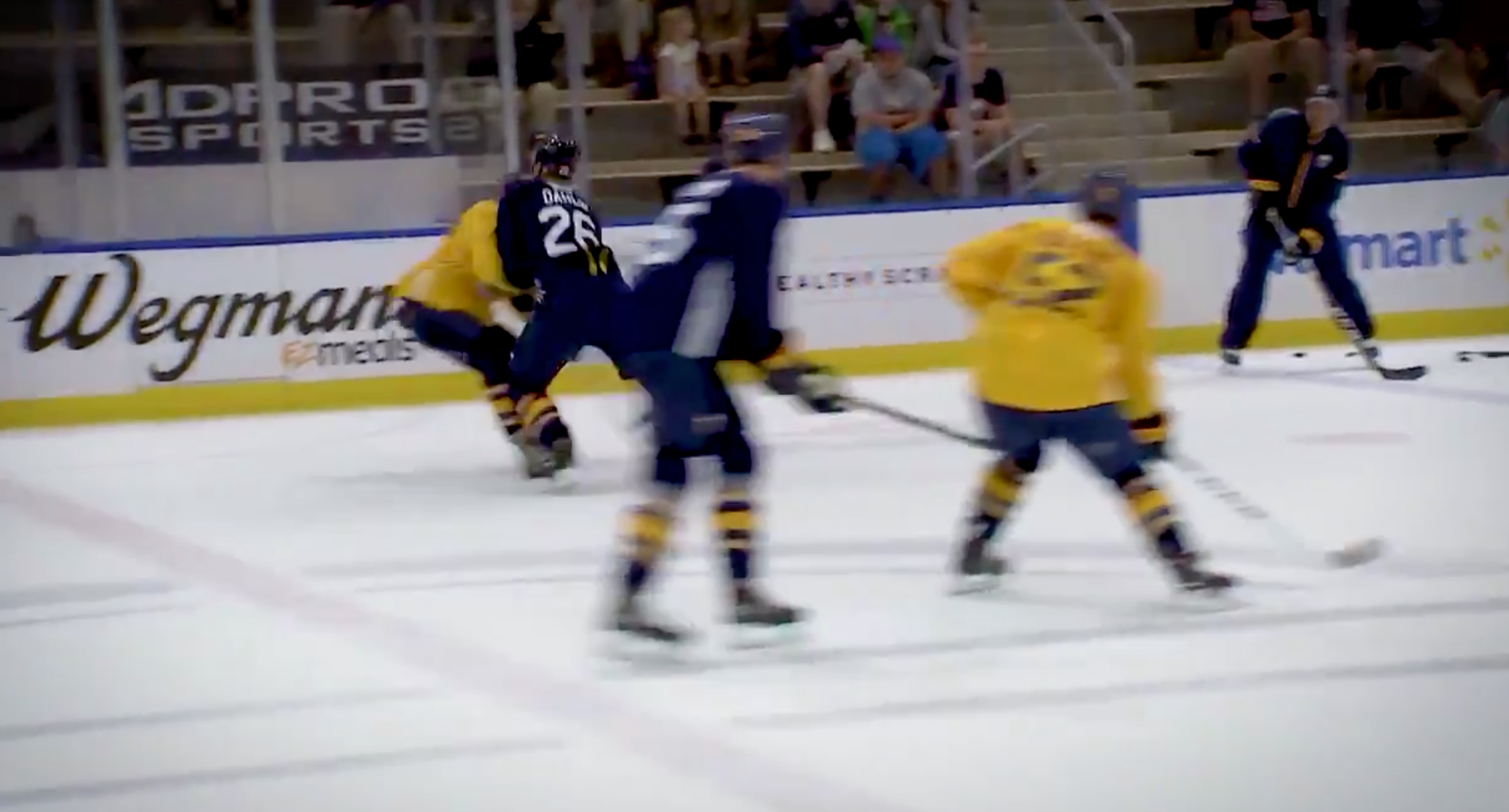 (3340) rasmus dahlin matej pekar