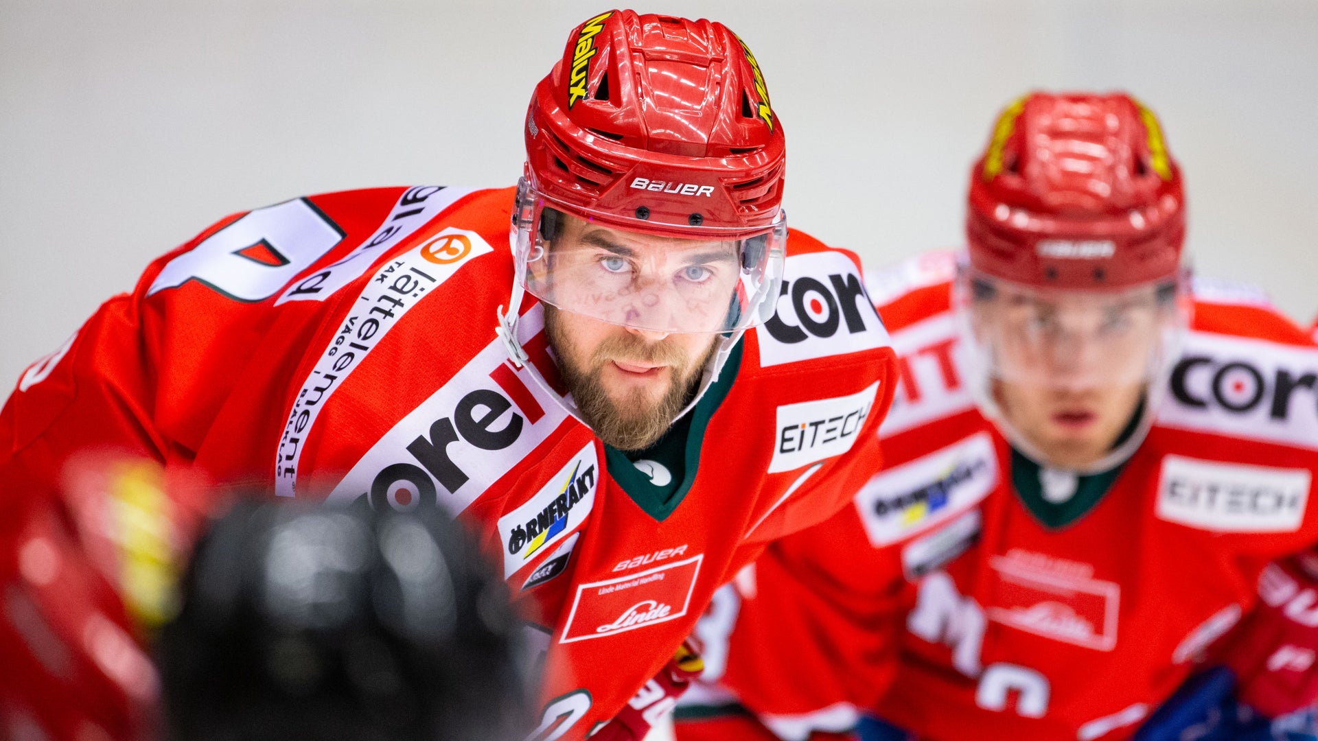 Johan Löf/Bildbyrån