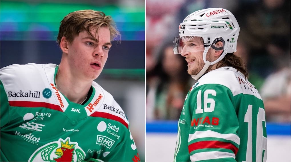 (28345) Pettersson Viljanen