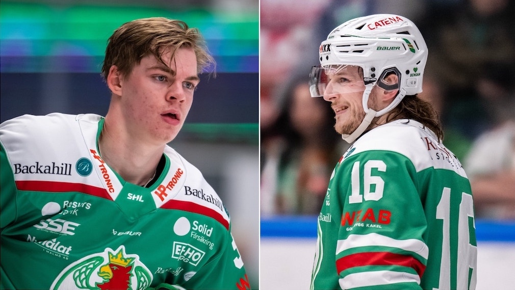 (28345) Pettersson Viljanen