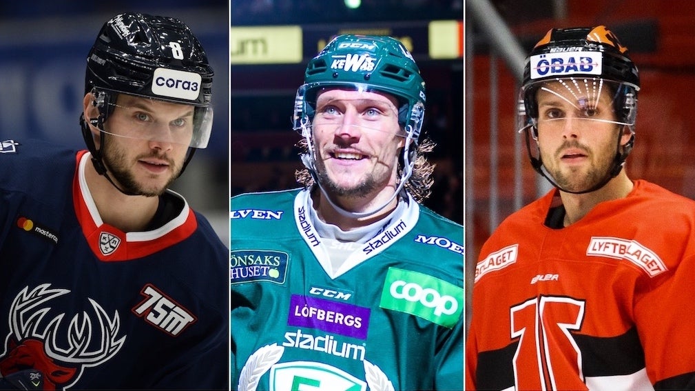 (c) photo.khl.ru Grigory Sokolov/Bildbyrån