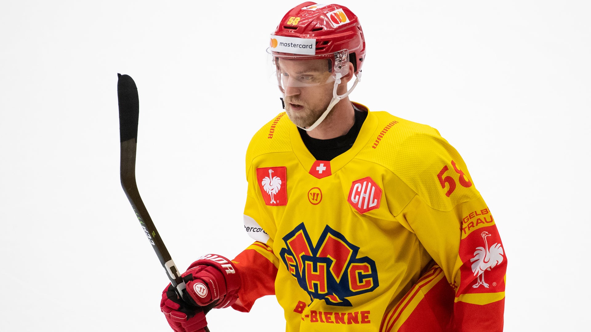 (20094) Anton Gustafsson