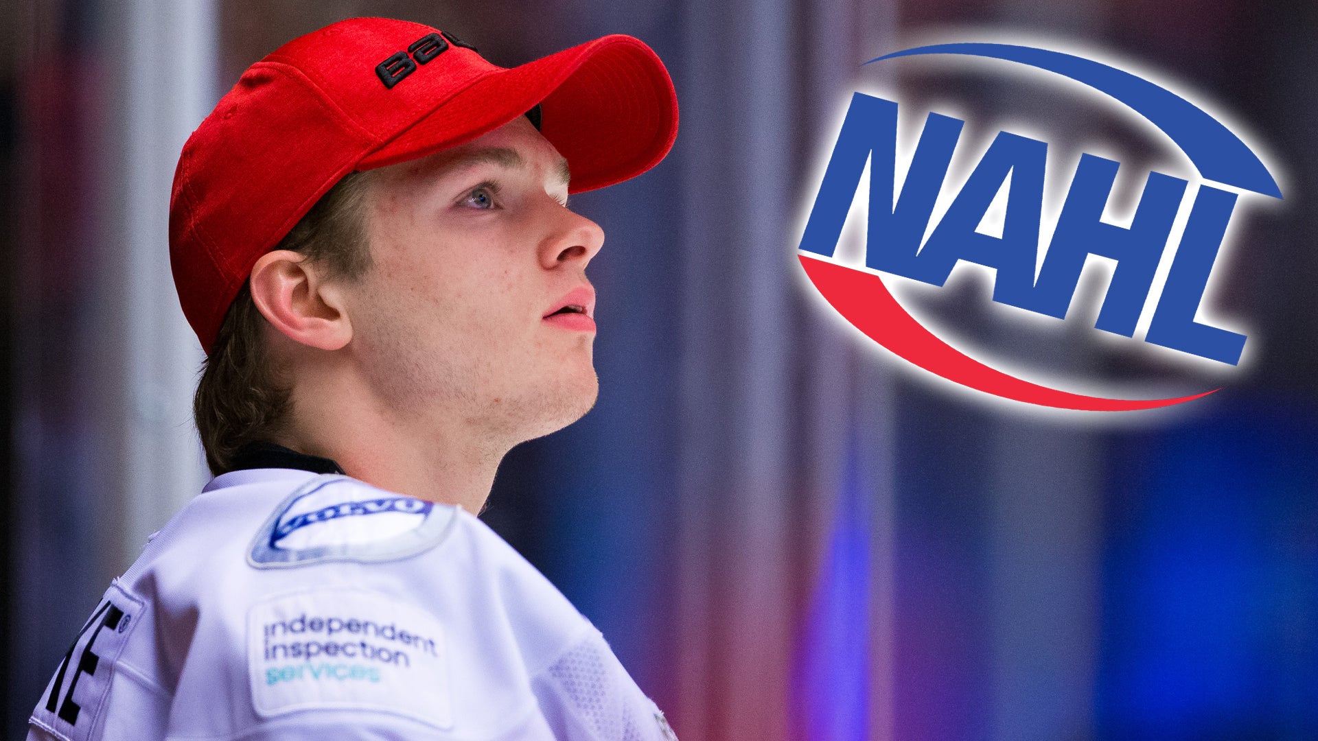 (14786) Hannes Kollen