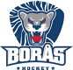 Borås HC