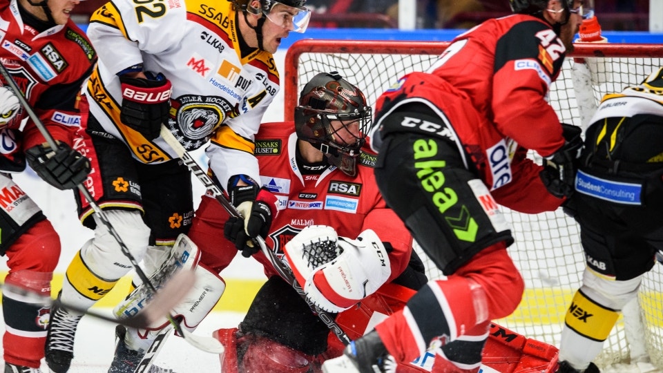 (6434) Oscar Alsenfelt-opti