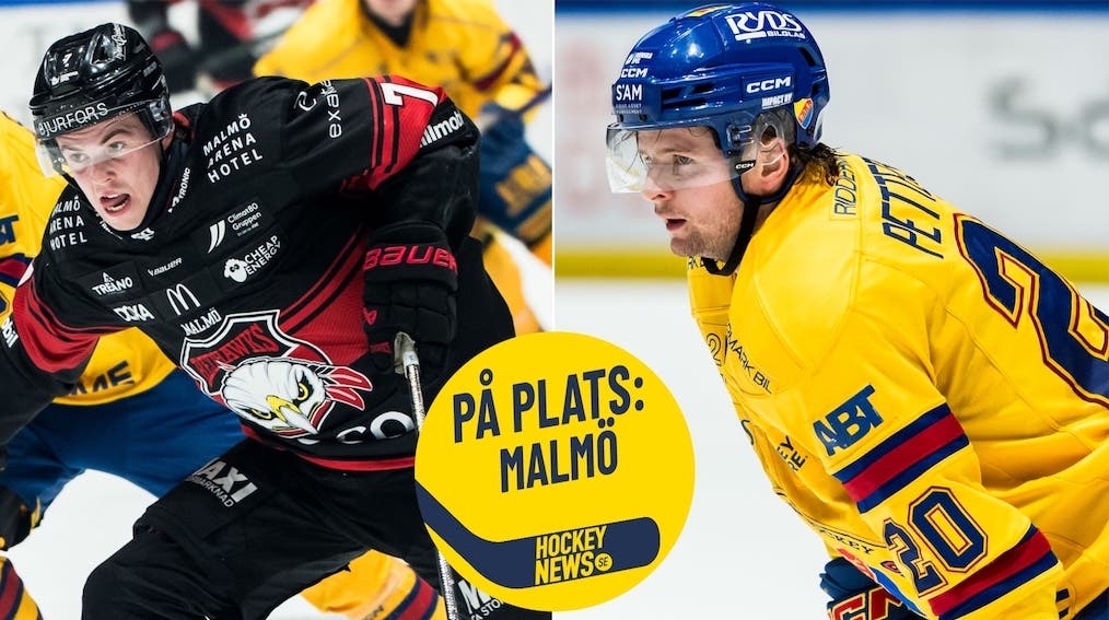 Topi Niemelä Mathias Emilio Pettersen