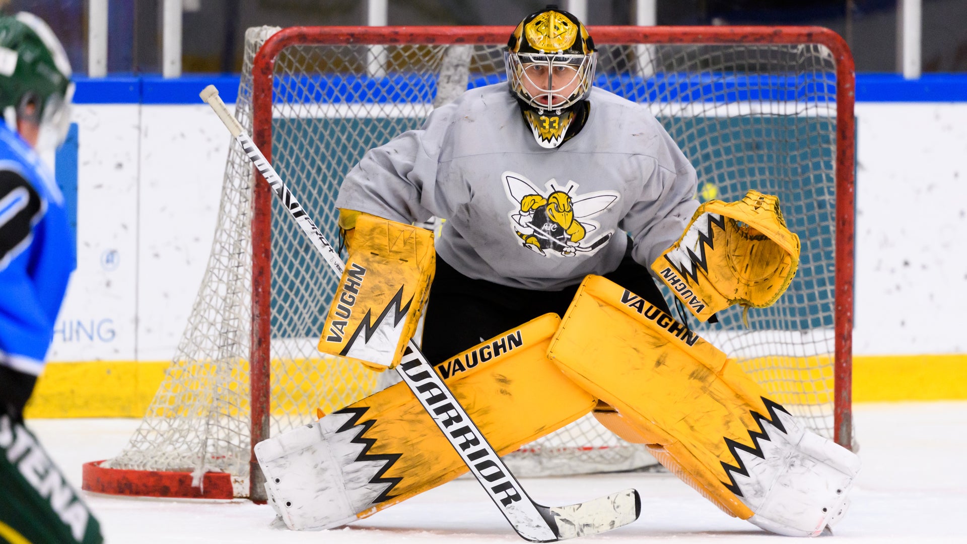 (13917) Zackarias Skog