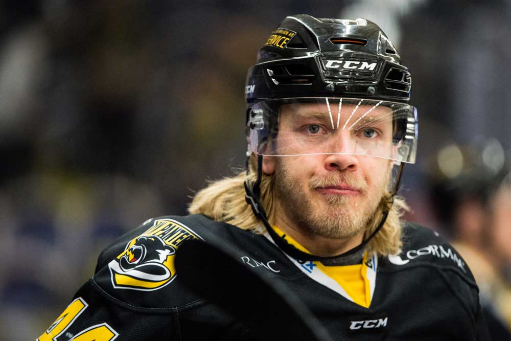 Petter Arvidson/Bildbyrån