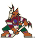 Arizona Coyotes