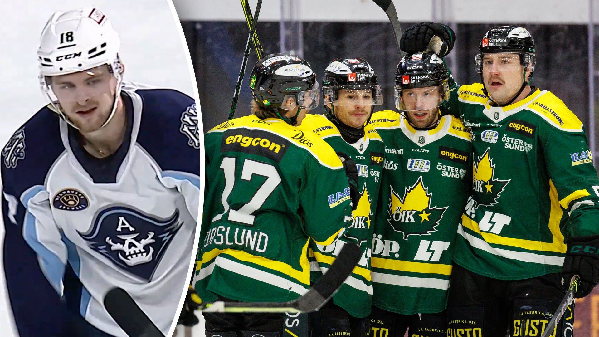 Bildbyrån/AHL TV (montage)