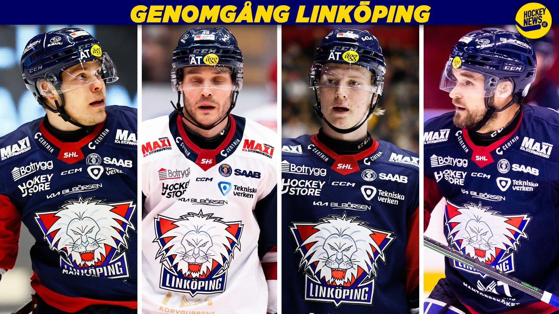 (26942) Genomgång Linköping