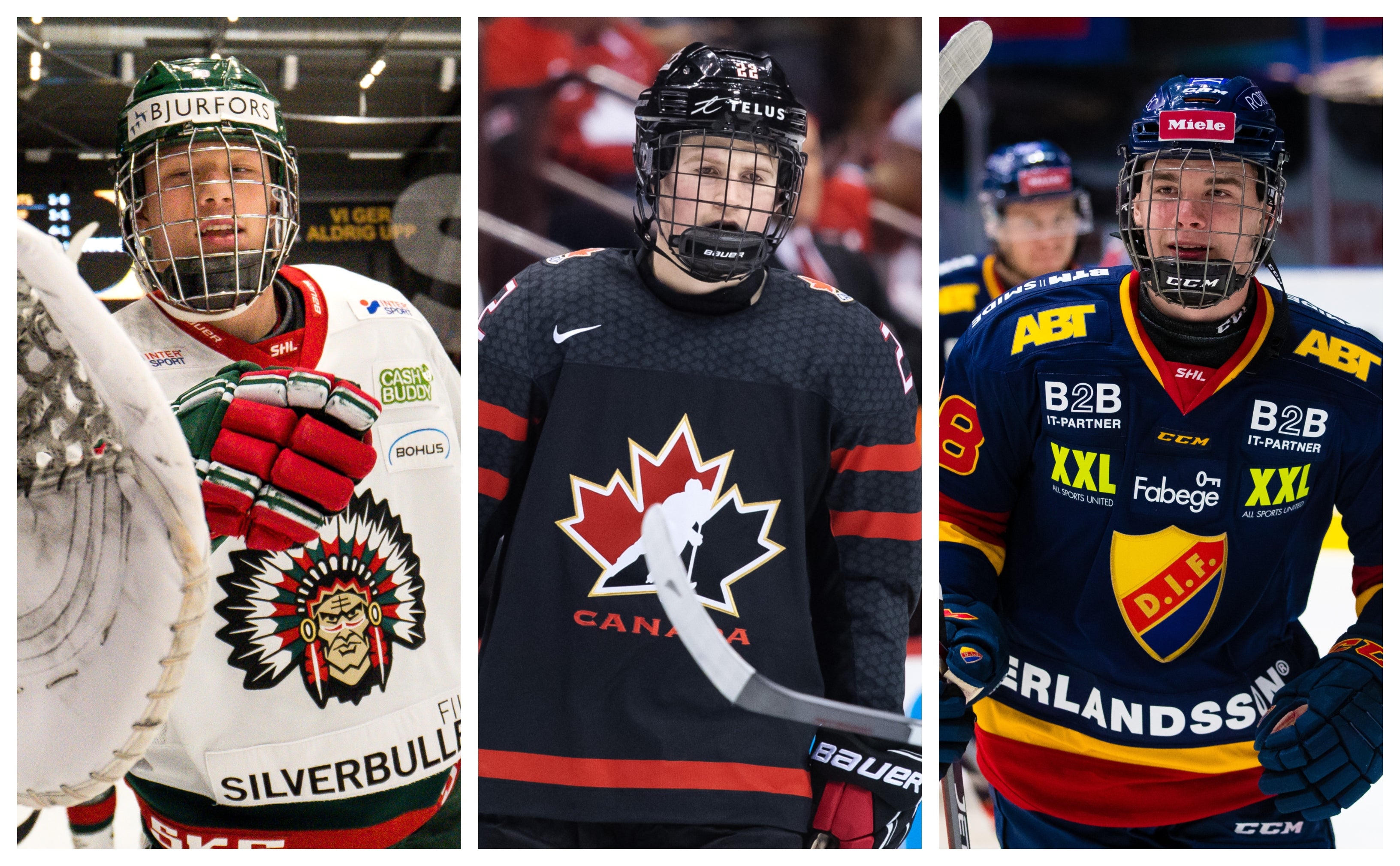 (10238) Talangrankning