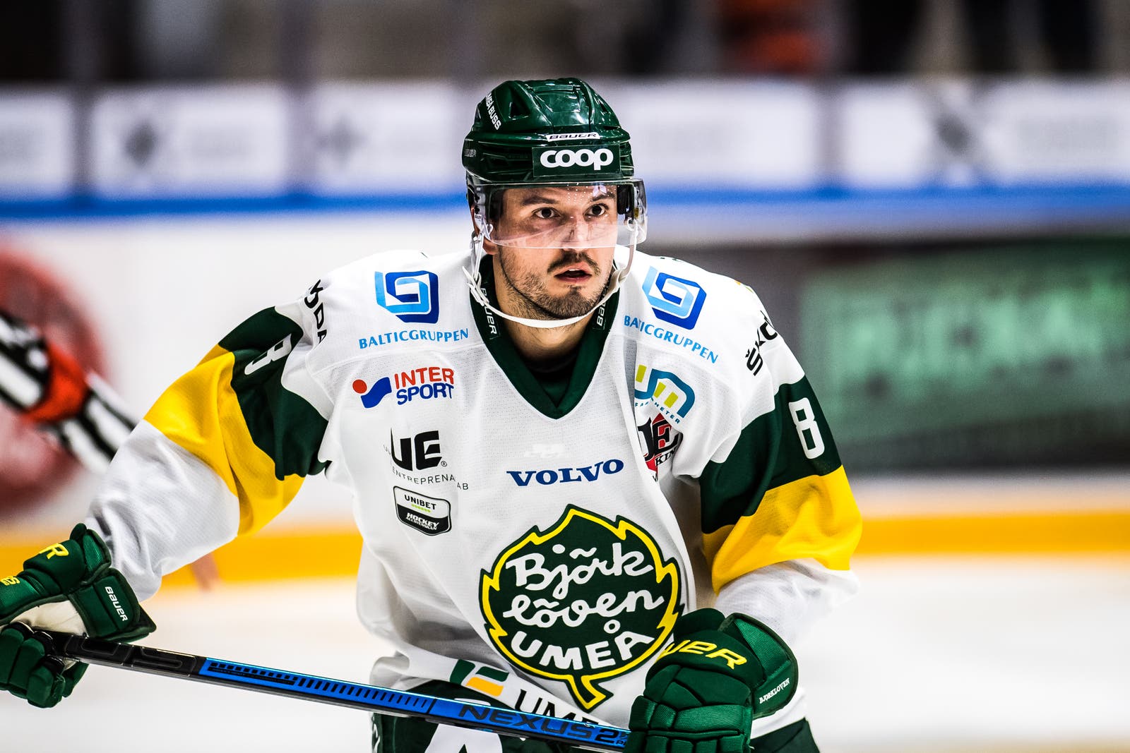 (12081) alexander deilert