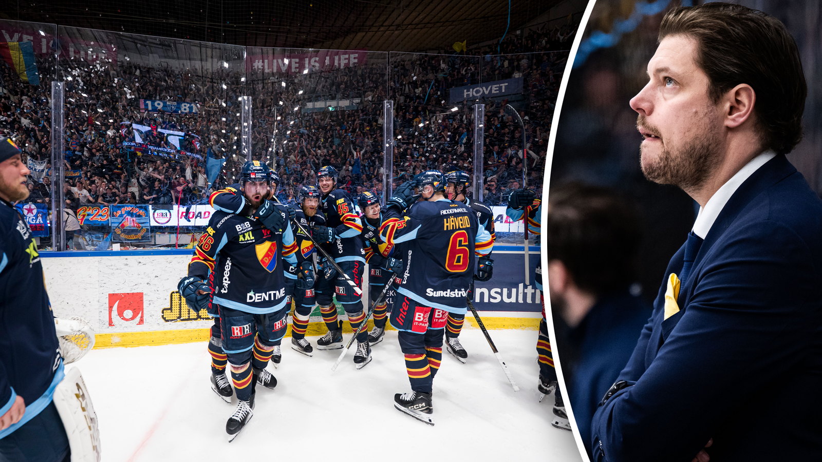 Mattias Zackrisson Djurgården