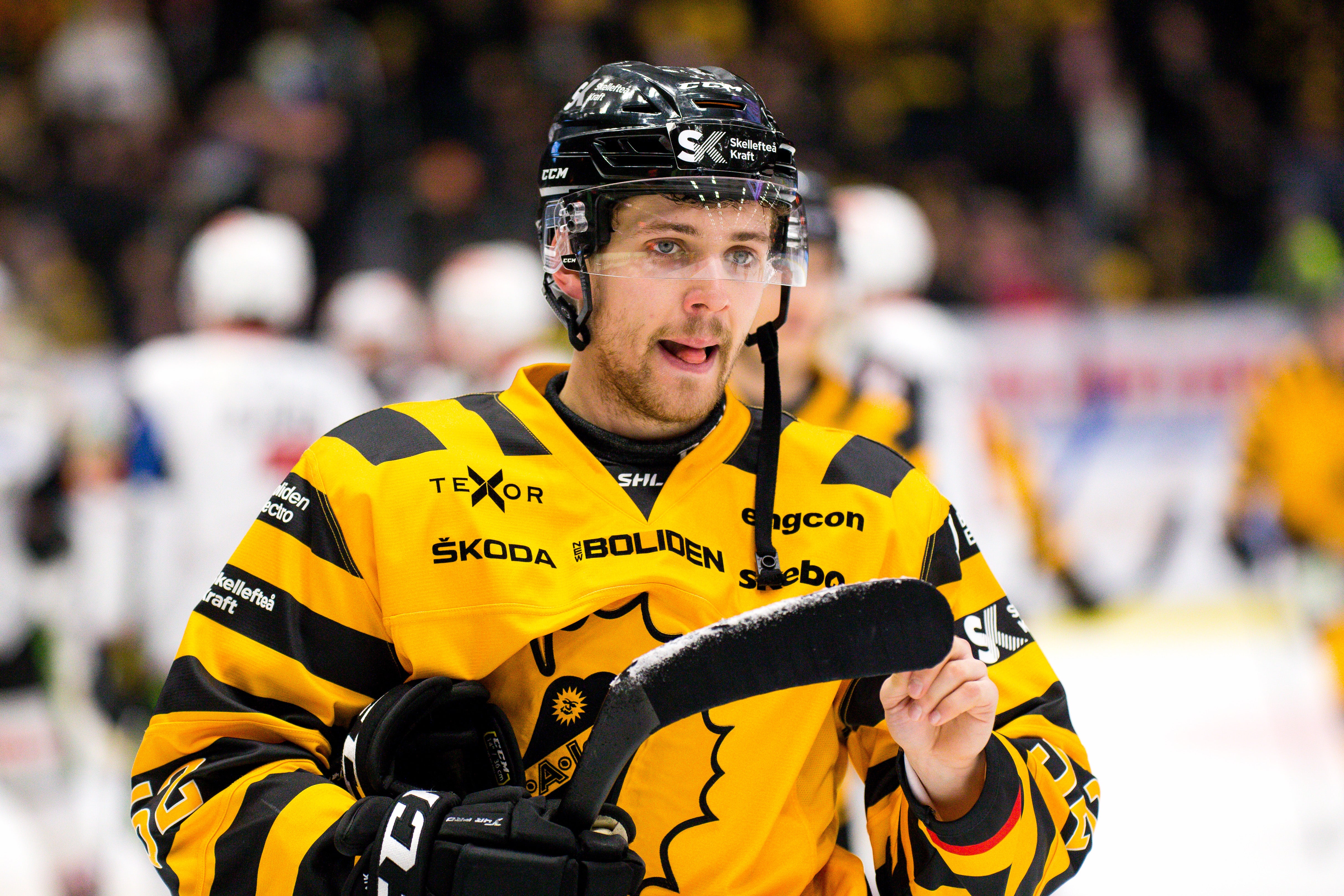 (11332) Arvid Lundberg