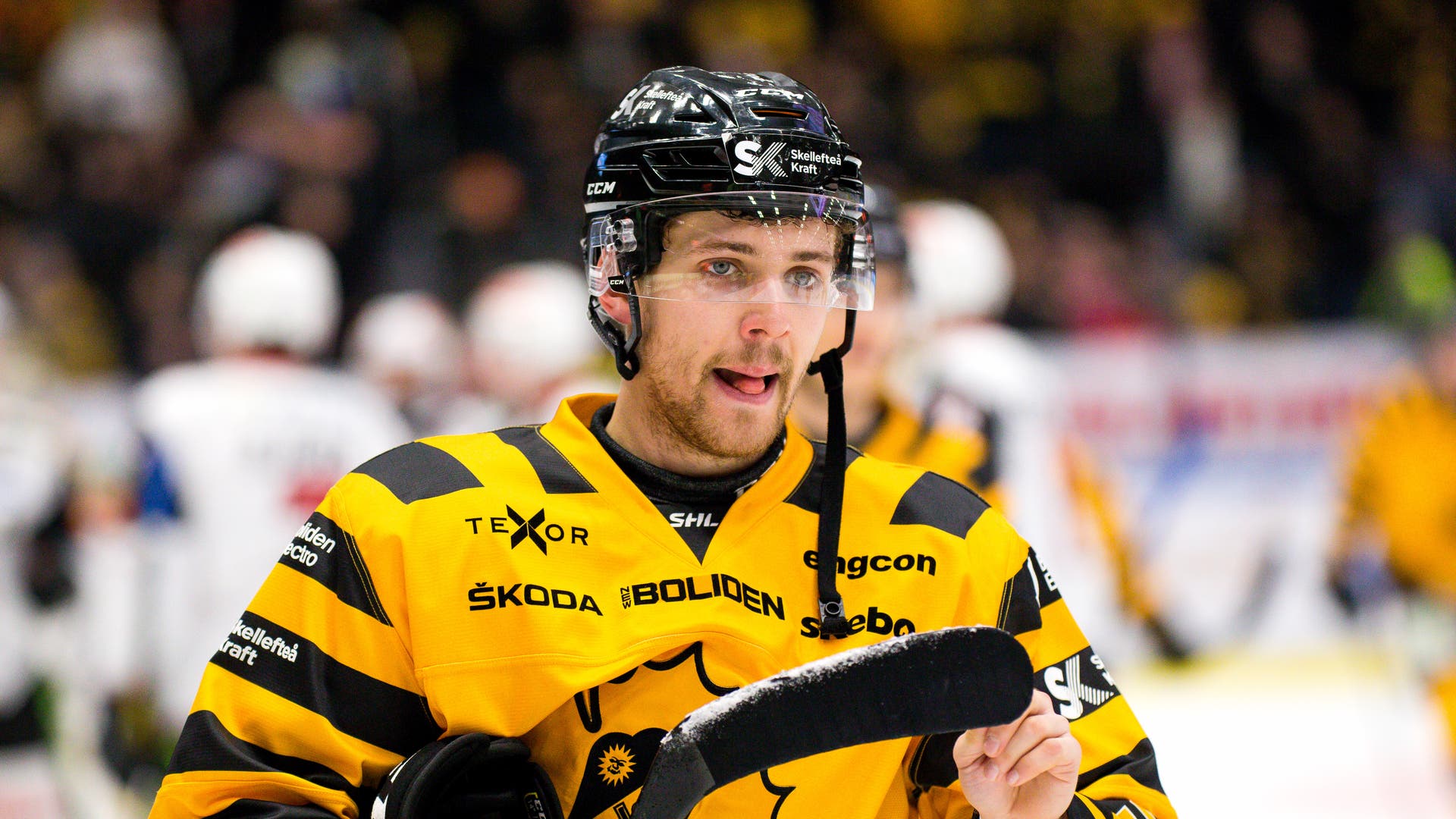 (11332) Arvid Lundberg