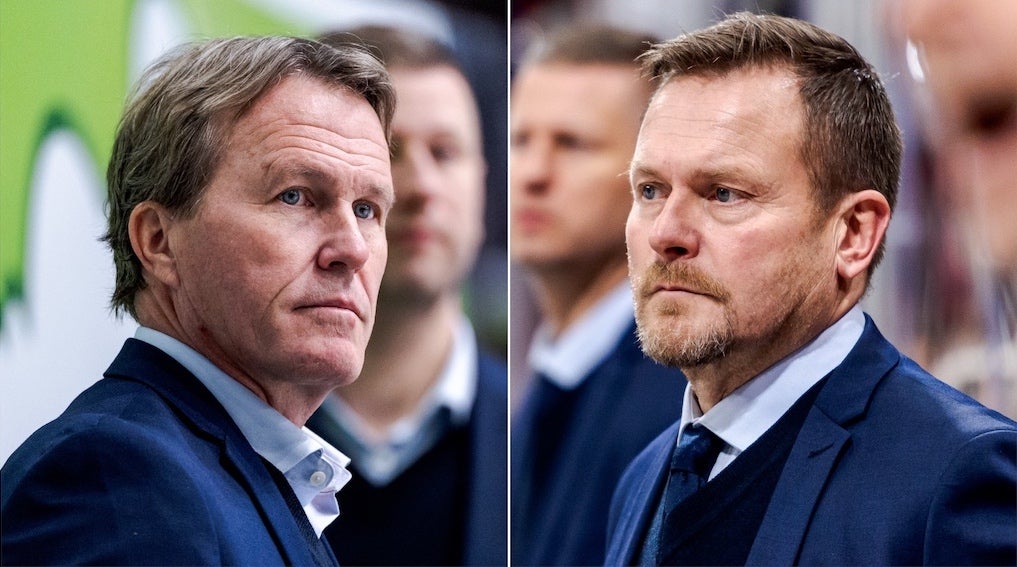 (29843) Garpenlöv Fagervall