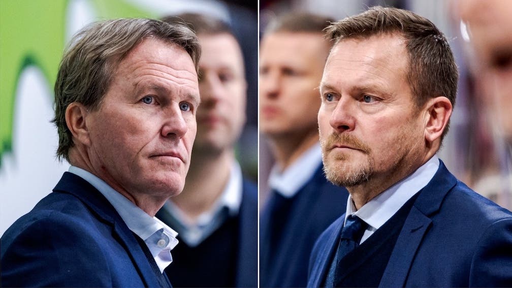 (29843) Garpenlöv Fagervall