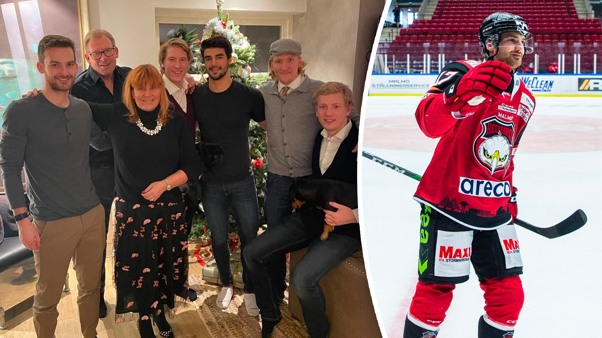 (29624) Sylvegård-bild