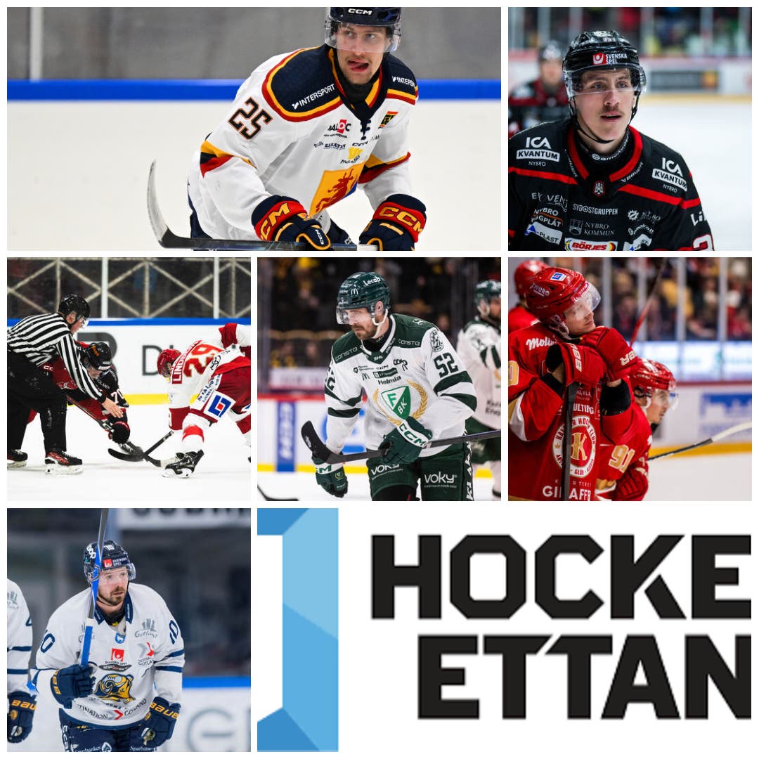 Collage bästa värvningar Hockeyettan