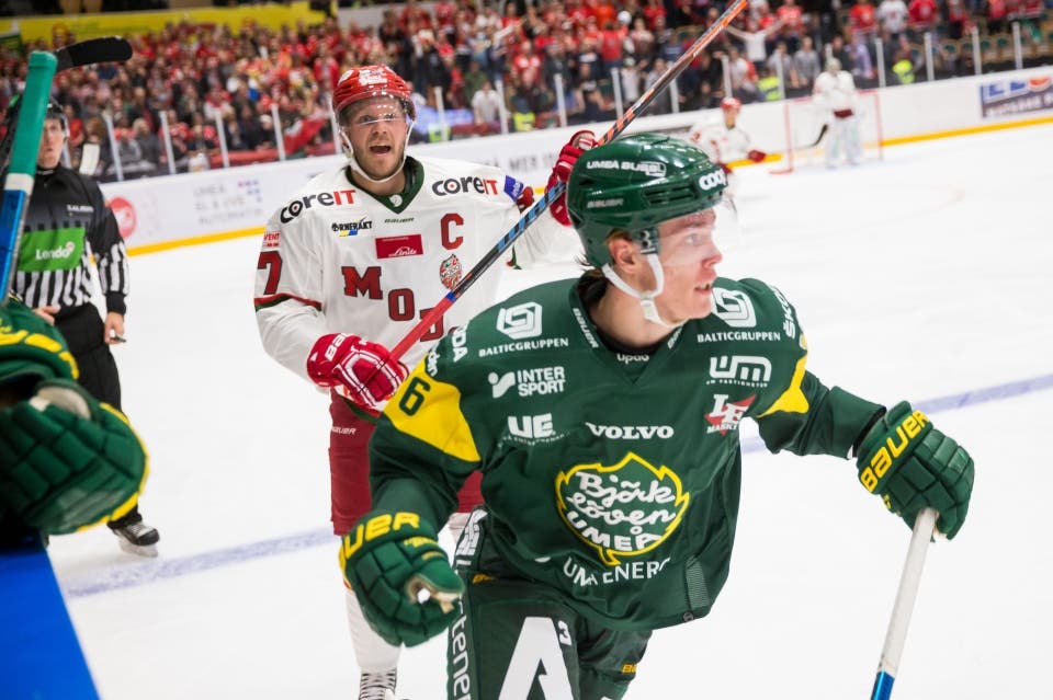 (6009) modo björklöven