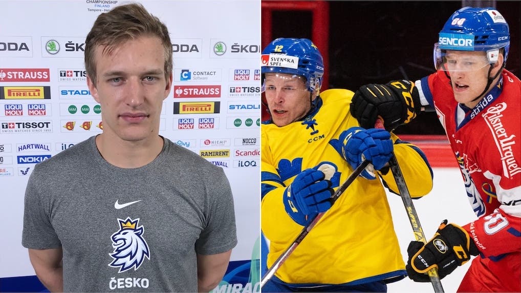 (23588) David Sklenicka/Brynäs