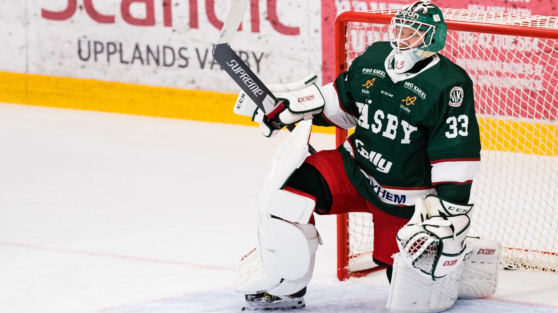 (16447) Linus Ryttar