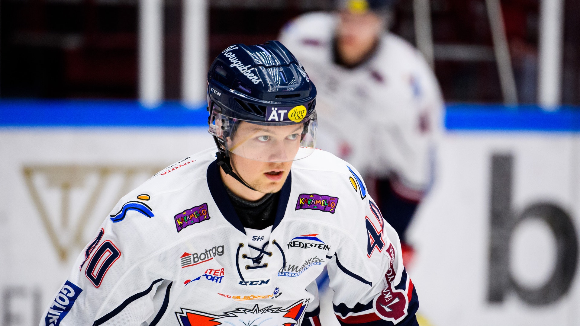 Petter Arvidson/Bildbyrån