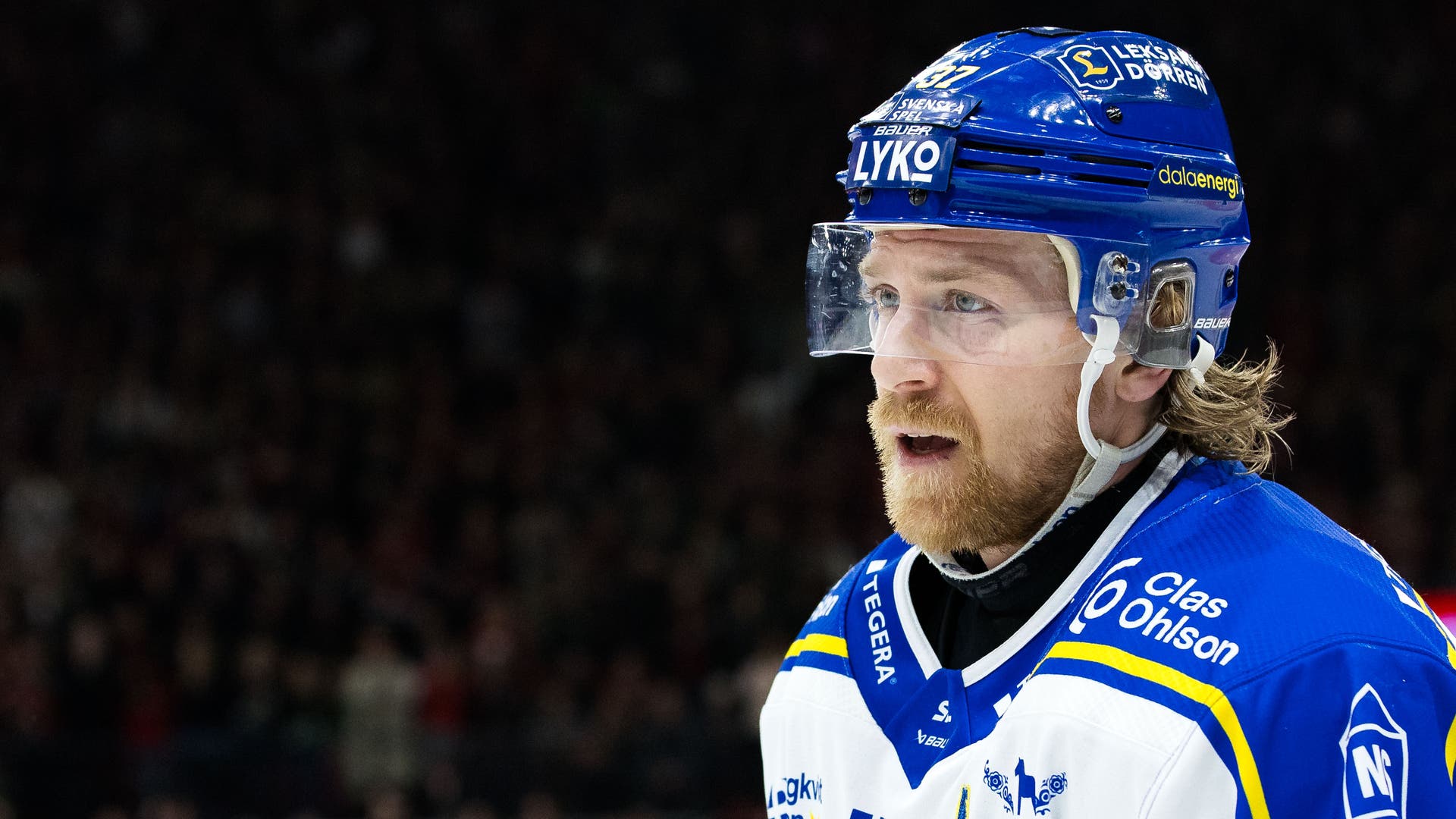 anton lindholm