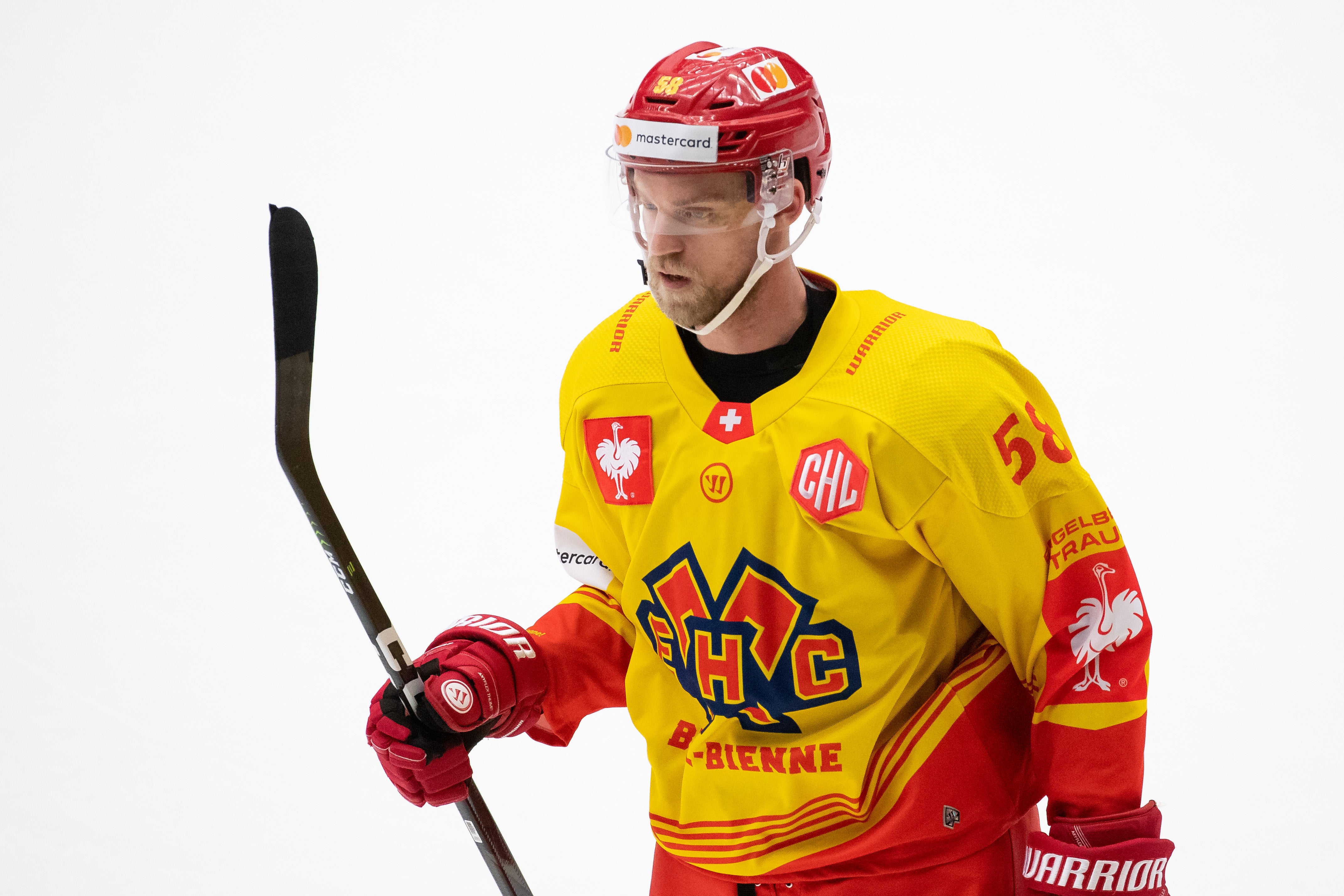 (11341) Anton Gustafsson
