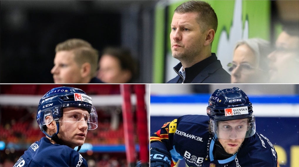 (30772) Holmqvist Norman