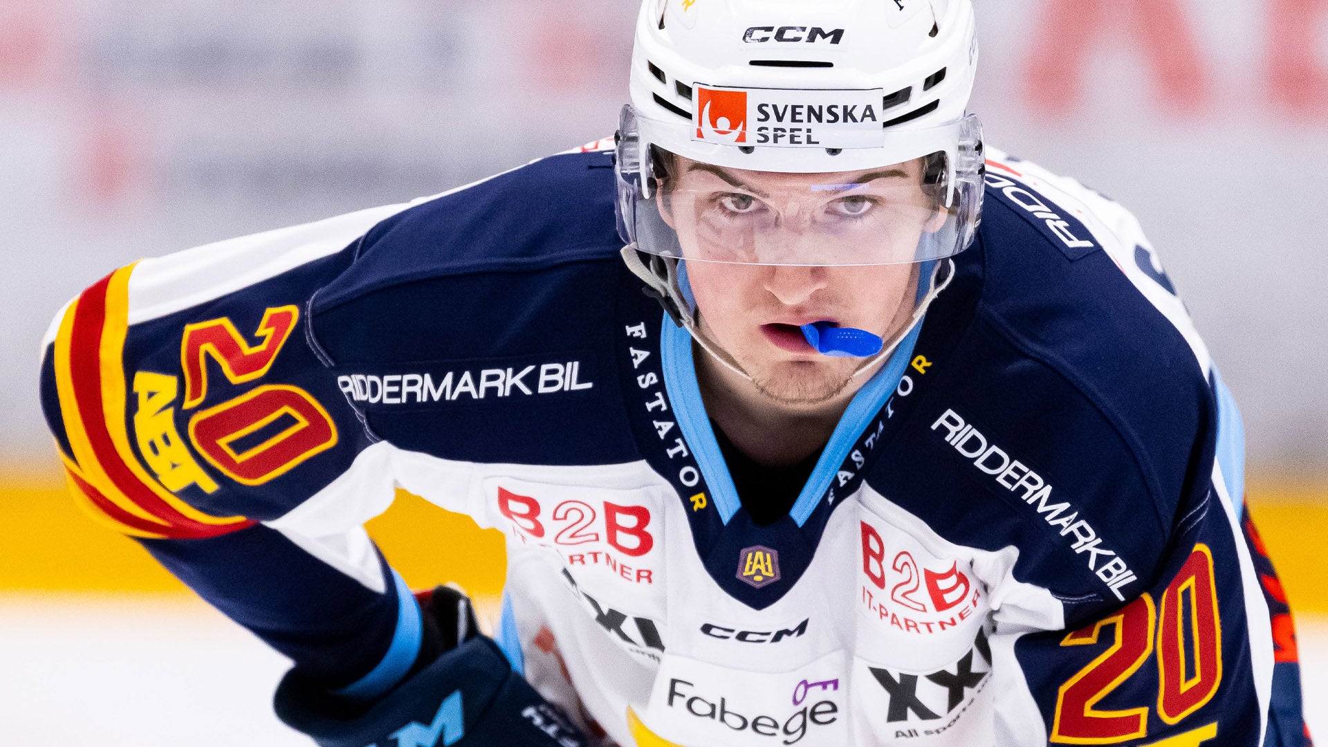 (29238) Calle Odelius