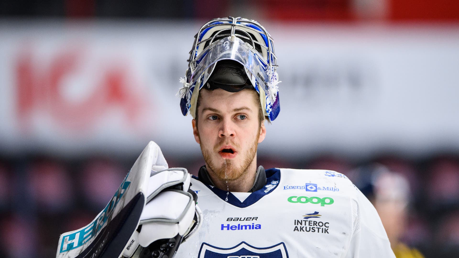 Marcus Hellgren Smed