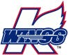 Kalamazoo Wings