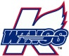 Kalamazoo Wings