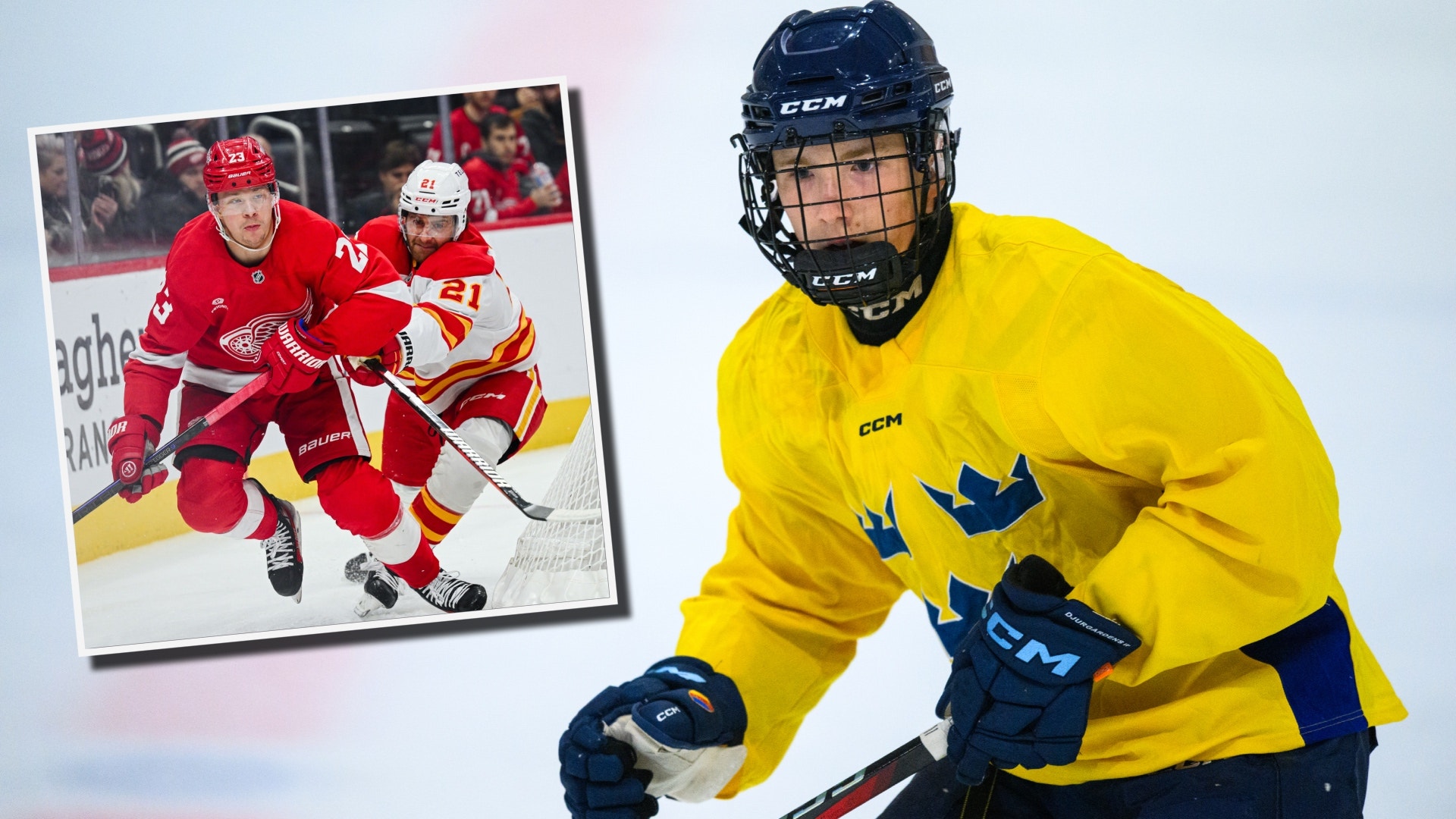 Viggo Björck Lucas Raymond