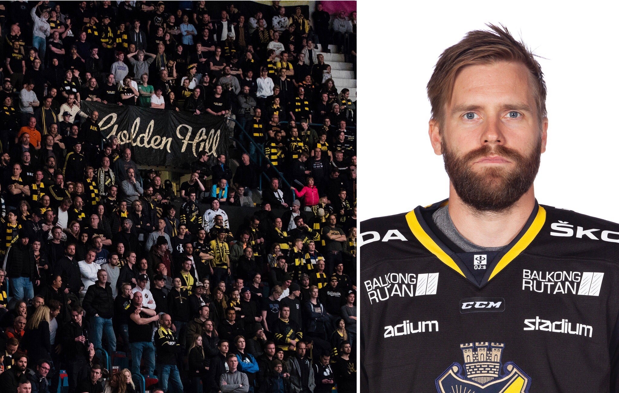 (3946) johan larsson